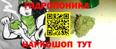 тгк Лесосибирск