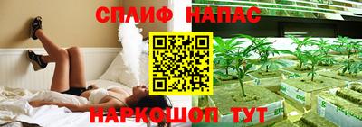 гашик Ливны